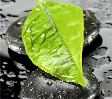 stacks_image_CEC95AD2-50D9-4465-9425-339055DF2E00